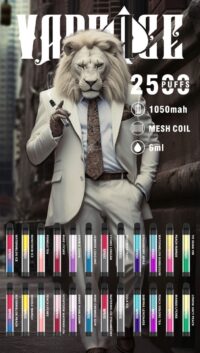 VAPEACE 2500 PUFFS